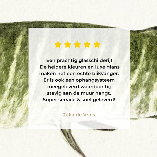 MuchoWow® Peinture sur Verre - Brochet - Peinture de Jean Bernard - 40x20 cm - Peintures sur Verre Acrylique - Photo sur Glas