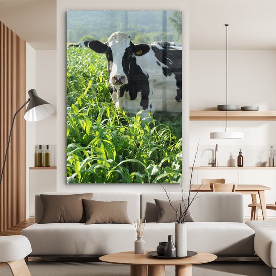 Une vache frisonne parmi les hautes herbes vertes Plexiglas 120x180 cm - Tirage photo sur Glas (décoration murale plexiglas) XXL / Groot format!