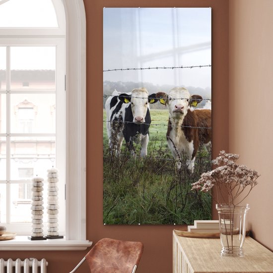 ® Glasschilderij 80x160 cm - Schilderij acrylglas - Koe - Prikkeldraad - Gras - Dieren - Foto op glas - Muurdecoratie woonkamer - Wanddecoratie slaapkamer - Schilderijen