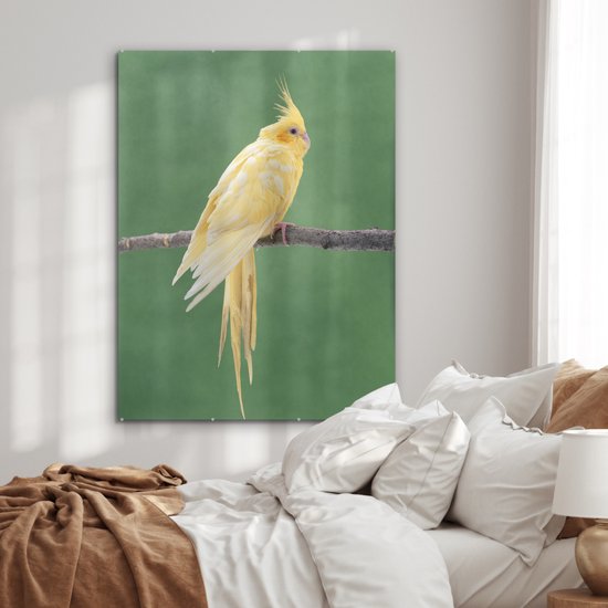 MuchoWow® Peinture sur verre - Calopsitte jaune sur un bâton - 90x120 cm - Peintures sur verre acrylique - Photo sur Glas