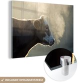 Vache au lever du soleil Glas 60x40 cm - Tirage photo sur Glas (décoration murale plexiglas)