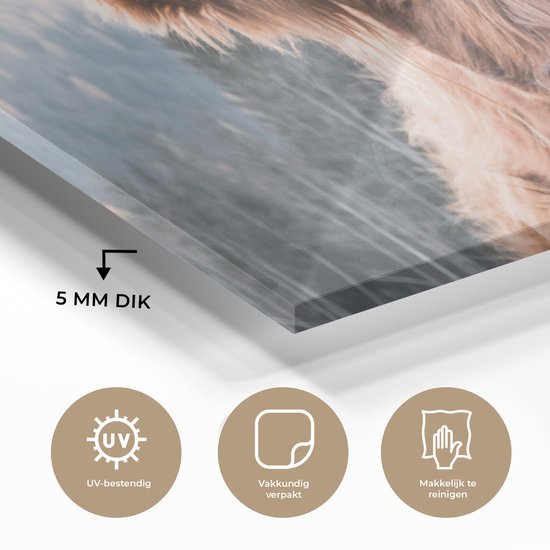 Peinture sur Verre - Highlander écossais - Animaux - Forêt - 160x80 cm - Peintures sur Verre Peintures - Photo sur Glas