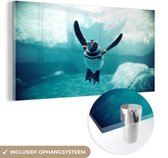 MuchoWow® Glasschilderij 80x40 cm - Schilderij acrylglas - Een Zwartvoetpinguïn in het water - Foto op glas - Schilderijen