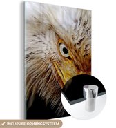 MuchoWow® Glasschilderij 90x120 cm - Schilderij acrylglas - Vogel - Oog - Snavel - Foto op glas - Schilderijen
