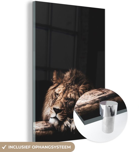Peinture sur Verre - Lion - Tronc d'Arbre - Couleurs - 100x150 cm - Peintures sur Verre Peintures - Photo sur Glas
