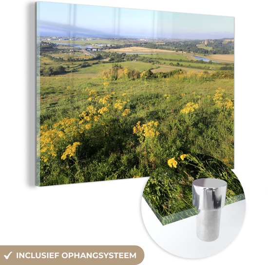 MuchoWow® Glasschilderij 60x40 cm - Schilderij acrylglas - Geel struikgewas op het landschap van het Nationaal park South Downs - Foto op glas - Schilderijen