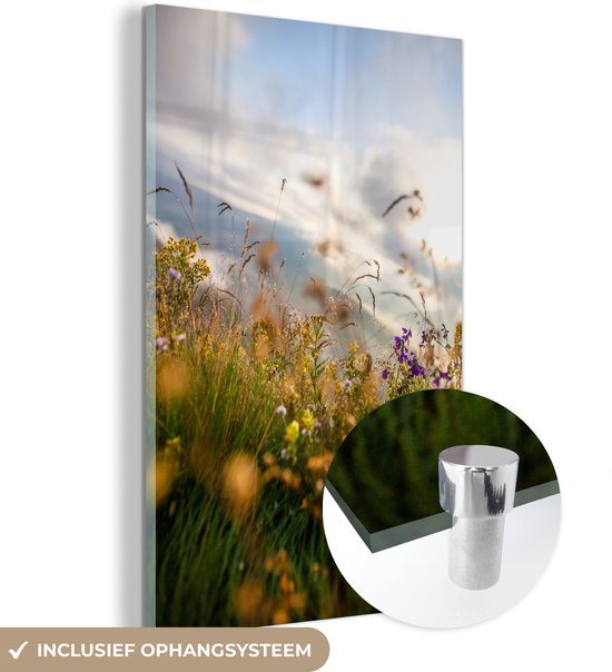 MuchoWow® Glasschilderij 100x150 cm - Schilderij acrylglas - Wilde Bloemen - Buiten - Gras - Foto op glas - Schilderijen