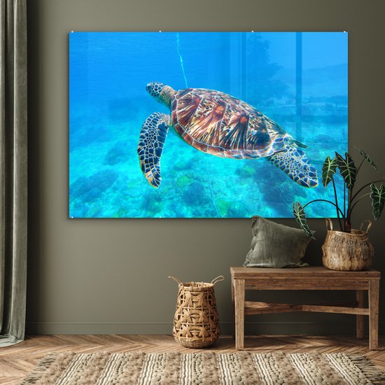 MuchoWow® Peinture sur Verre - Tortue - Mer - Blauw - 180x120 cm - Peintures sur Verre Acrylique - Photo sur Glas