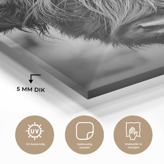 MuchoWow® Peinture sur verre 60x90 cm - Peinture sur verre acrylique - Highlander écossais - Lumière - Portrait - Nature - Photo sur verre - Peintures