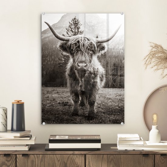 MuchoWow® Peinture sur verre 30x40 cm - Peinture acrylique sur verre - Highlander écossais - Zwart - Wit - Animaux - Photo sur verre - Peintures