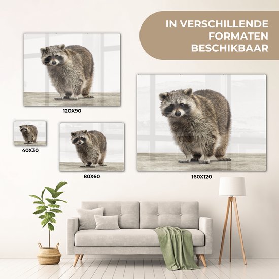 MuchoWow® Peinture sur verre 160x120 cm - Peinture sur verre acrylique - Raton laveur - Animaux - fond blanc - Garçons - Filles - Enfants - Photo sur verre - Peintures