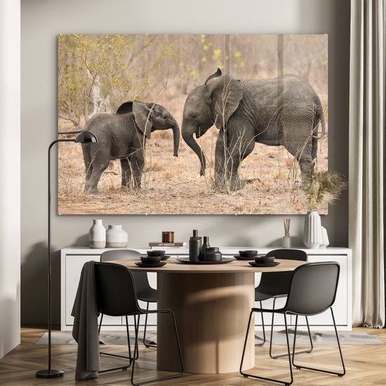 MuchoWow® Peinture sur verre - Deux jeunes éléphants - 150x100 cm - Peintures sur verre acrylique - Photo sur Glas
