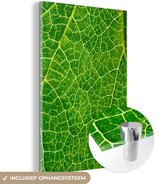 MuchoWow® Glasschilderij 20x30 cm - Schilderij acrylglas - Bladeren - Natuur - Groen - Foto op glas - Schilderijen