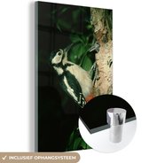 MuchoWow® Glasschilderij 20x30 cm - Schilderij acrylglas - Een grote bonte specht tegen boom - Foto op glas - Schilderijen