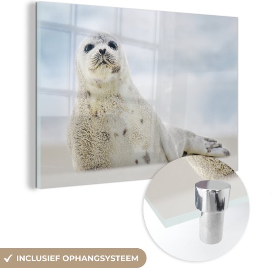 MuchoWow® Glasschilderij 90x60 cm - Schilderij acrylglas - Jonge zeehond liggend op het zandstrand - Foto op glas - Schilderijen