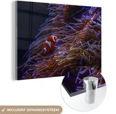 MuchoWow® Peinture sur verre - Nemo - Pêche - Corail - 180x120 cm - Peintures sur verre acrylique - Photo sur Glas