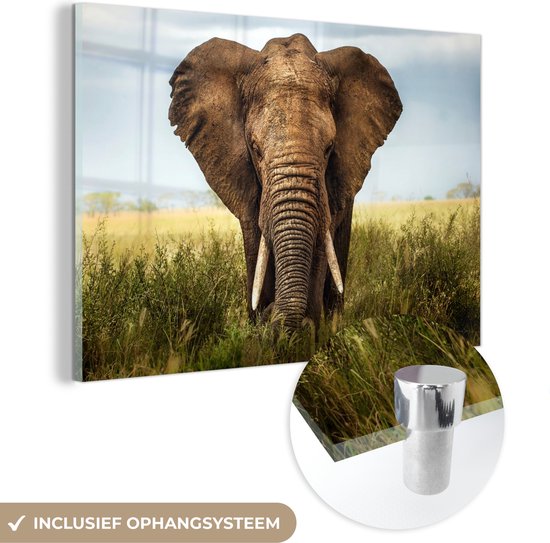 MuchoWow® Glasschilderij 180x120 cm - Schilderij acrylglas - Afrikaanse olifant vooraanzicht - Foto op glas - Schilderijen