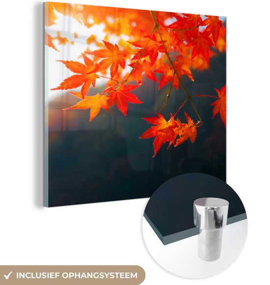 MuchoWow® Glasschilderij 50x50 cm - Schilderij acrylglas - Herfstbladeren in Japan - Foto op glas - Schilderijen