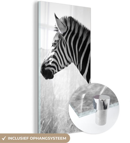 MuchoWow® Glasschilderij 40x80 cm - Schilderij acrylglas - Zebra in het hoge gras - Foto op glas - Schilderijen