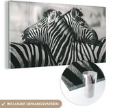 MuchoWow® Glasschilderij 120x60 cm - Schilderij acrylglas - Knuffelende zebra's - Foto op glas - Schilderijen