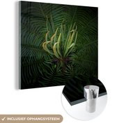 MuchoWow® Glasschilderij 90x90 cm - Schilderij acrylglas - Een bloeiende cycas plant op een zwarte achtergrond - Foto op glas - Schilderijen