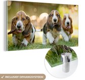 MuchoWow® Glasschilderij 80x40 cm - Schilderij acrylglas - Puppy's rennen door het gras - Foto op glas - Schilderijen
