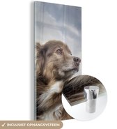 MuchoWow® Glasschilderij 60x120 cm - Schilderij acrylglas - Starende hond - Foto op glas - Schilderijen