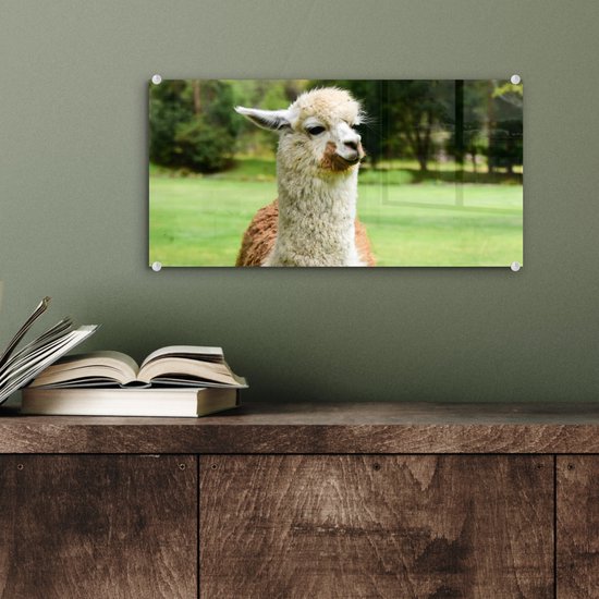 ® Glasschilderij 40x20 cm - Schilderij acrylglas - Alpaca - Wit - Bruin - Boom - Foto op glas - Muurdecoratie woonkamer - Wanddecoratie slaapkamer - Schilderijen