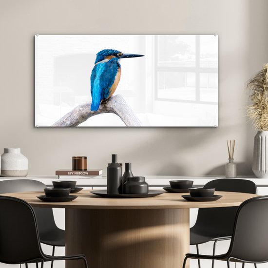 MuchoWow® Peinture sur verre 80x40 cm - Peinture sur verre acrylique - Martin-pêcheur - Branche - Bec - Photo sur verre - Peintures