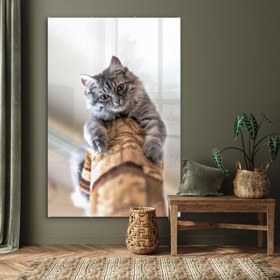 MuchoWow® Peinture sur Verre - Chat - Arbre à Chat - Grijs - 100x150 cm - Peintures sur Verre Acrylique - Photo sur Glas