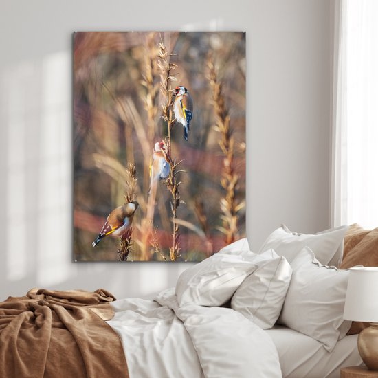 Peinture sur Verre - Vogels - Branches - Forêt - 90x120 cm - Peintures sur Verre Peintures - Photo sur Glas