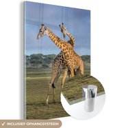 MuchoWow® Glasschilderij 90x120 cm - Schilderij acrylglas - Giraffes - Dieren - Natuur - Foto op glas - Schilderijen