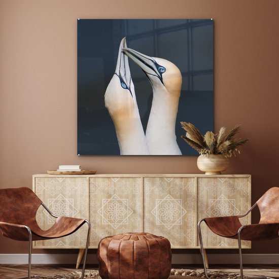 Couple de Fous de Bassan Plexiglas 90x90 cm - Tirage Photo sur Glas (Décoration murale Plexiglas)