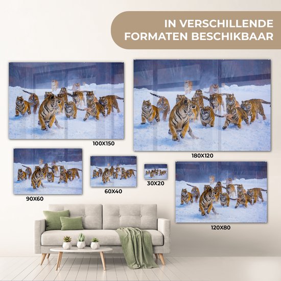 Peintures sur verre - Tigre - Neige - Animaux sauvages - Hiver - 150x100 cm - Peintures Plexiglas