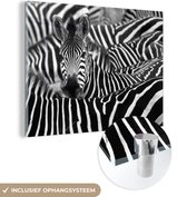 MuchoWow® Glasschilderij 120x90 cm - Schilderij acrylglas - Zebra - Zwart - Wit - Foto op glas - Schilderijen