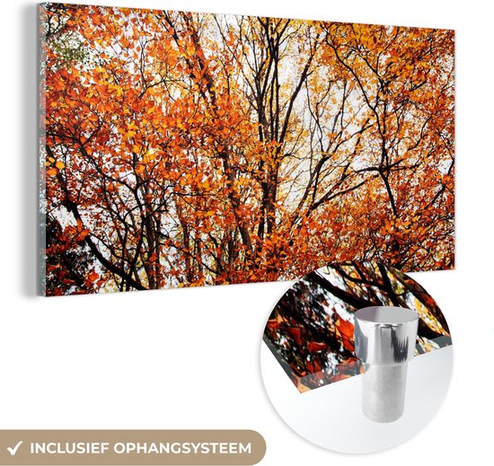 MuchoWow® Peinture sur Verre - Forêt - Automne - Saisons - 160x80 cm - Peintures sur Verre Acrylique - Photo sur Glas