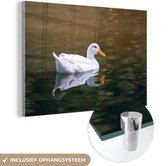 Reflet d'un canard dans un étang Plexiglas 120x80 cm - Tirage photo sur Glas (décoration murale plexiglas)