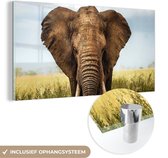 MuchoWow® Glasschilderij 40x20 cm - Schilderij acrylglas - Afrikaanse olifant vooraanzicht - Foto op glas - Schilderijen