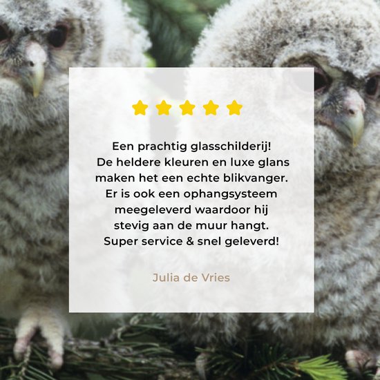 MuchoWow® Peinture sur verre 80x40 cm - Peinture sur verre acrylique - Deux hiboux - Photo sur verre - Peintures