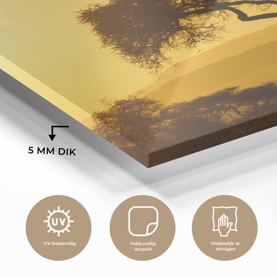 Ciel jaune sur le parc national du Serengeti en Tanzanie Plexiglas 120x80 cm - Tirage photo sur Glas (décoration murale en plexiglas)