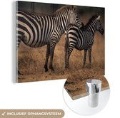 MuchoWow® Glasschilderij 60x40 cm - Schilderij acrylglas - Zebra's op de savanne - Foto op glas - Schilderijen