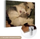 MuchoWow® Glasschilderij 90x60 cm - Schilderij acrylglas - Moeder met puppy - Foto op glas - Schilderijen