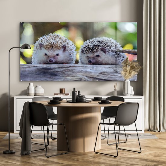 Peinture sur Verre - Deux Hérissons Assis sur une Branche - 160x80 cm - Peintures sur Verre Peintures - Photo sur Glas