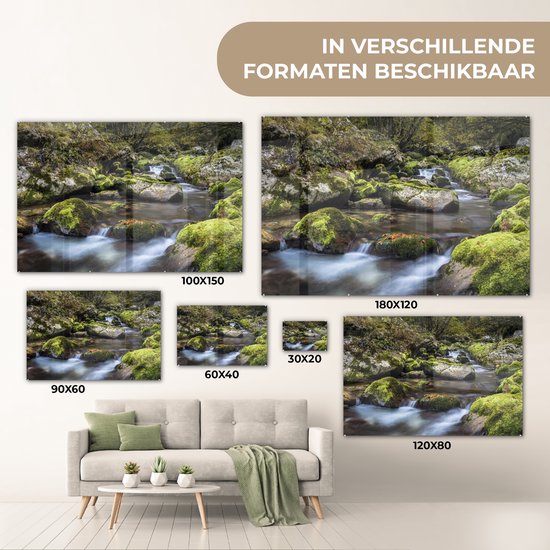 ® Glasschilderij 150x100 cm - Schilderij acrylglas - Bemoste rotsen in het Sloveense Nationaal park Triglav - Foto op glas - Muurdecoratie woonkamer - Wanddecoratie slaapkamer - Schilderijen