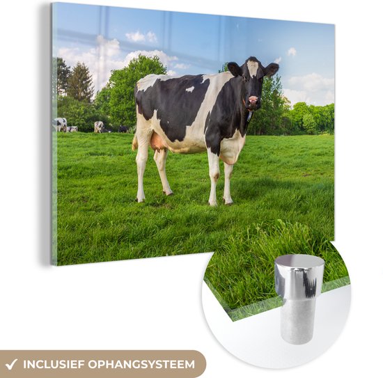 MuchoWow® Peinture sur Verre - Vache - Herbe - Animaux - 180x120 cm - Peintures sur Verre Peintures - Photo sur Glas