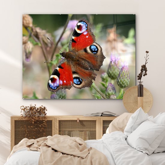 Peinture sur Verre - Papillon Paon - 120x90 cm - Peintures sur Verre Peintures - Photo sur Glas