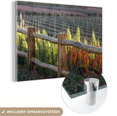MuchoWow® Peinture sur Verre - Mufliers à une Clôture - 150x100 cm - Peintures sur Verre Acrylique - Photo sur Glas