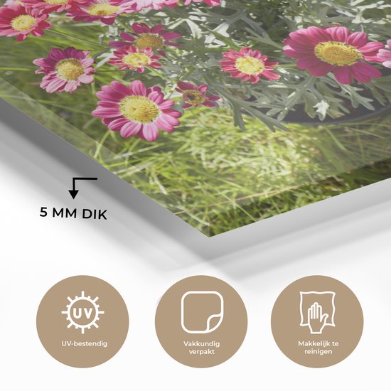 MuchoWow® Peinture sur verre 150x100 cm - Peinture sur verre acrylique - Fleurs - Arrosoir - Rose - Photo sur verre - Peintures