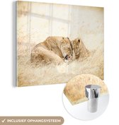 MuchoWow® Glasschilderij 40x30 cm - Schilderij acrylglas - Moeder leeuw met welp in het gras van de Ngorongoro krater in Tanzania - Foto op glas - Schilderijen