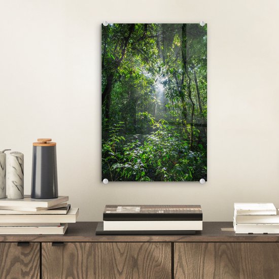 Le soleil perce les arbres de la jungle dans le parc national du Corcovado Plexiglas 20x30 cm - petit - Tirage photo sur Glas (décoration murale en plexiglas)